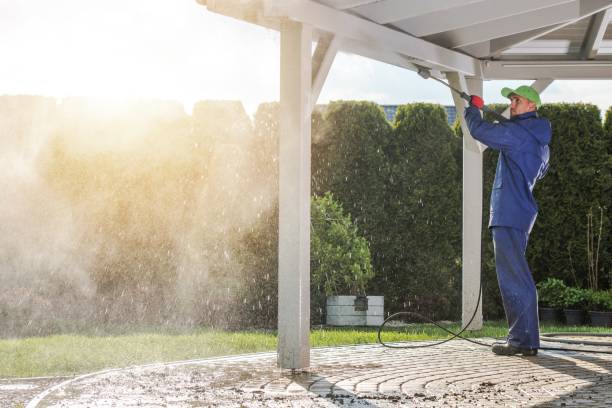 Best Solar Panel Cleaning  in Bodfish, CA